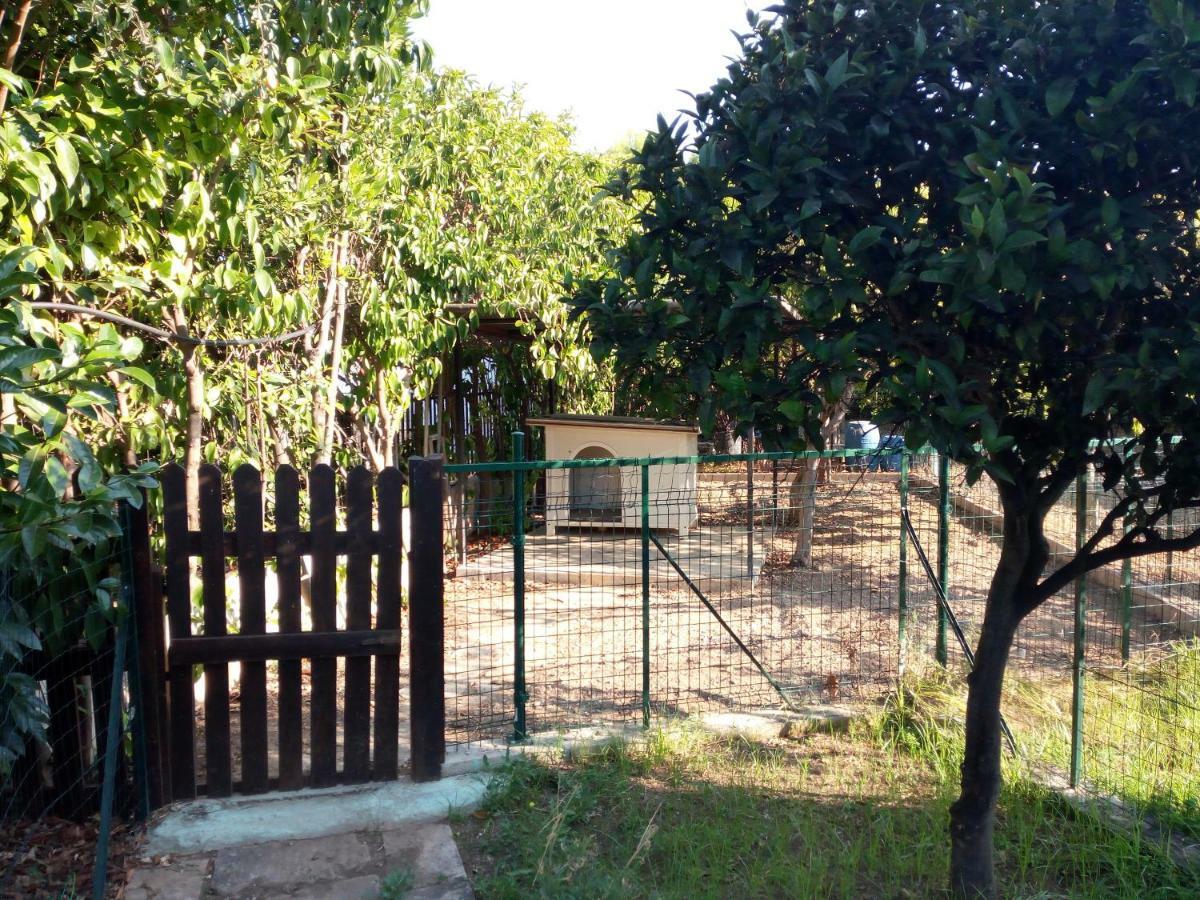 טאראנטו B&B Leonida מראה חיצוני תמונה